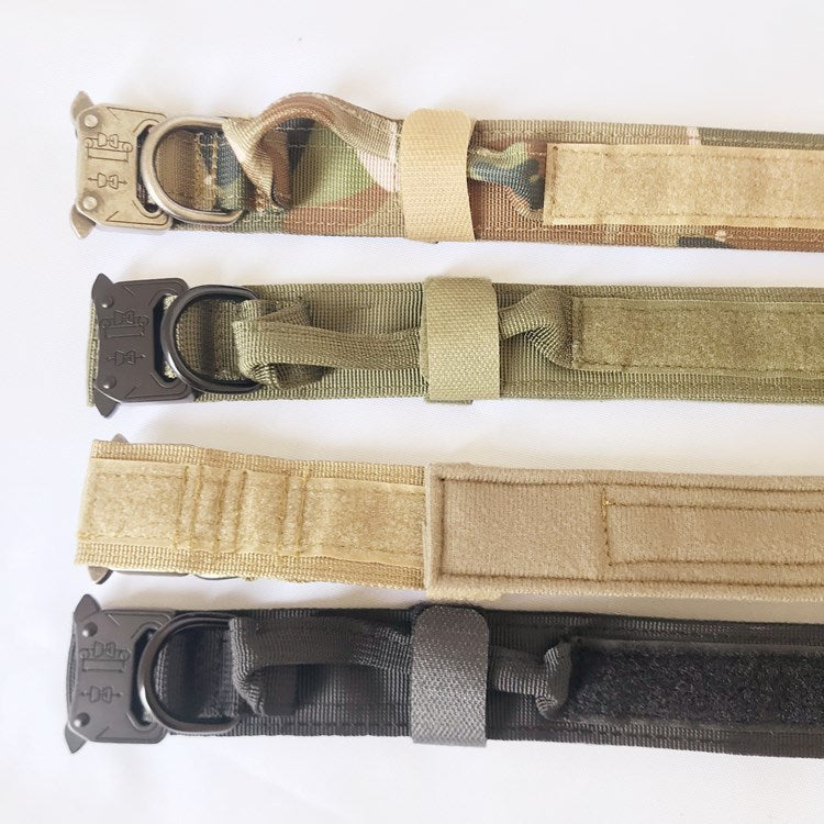 Khaki nylon dog collar for large and medium-sized dogs shown on a Labrador Retriever during a coastal walk. Durable design with secure metal buckle.