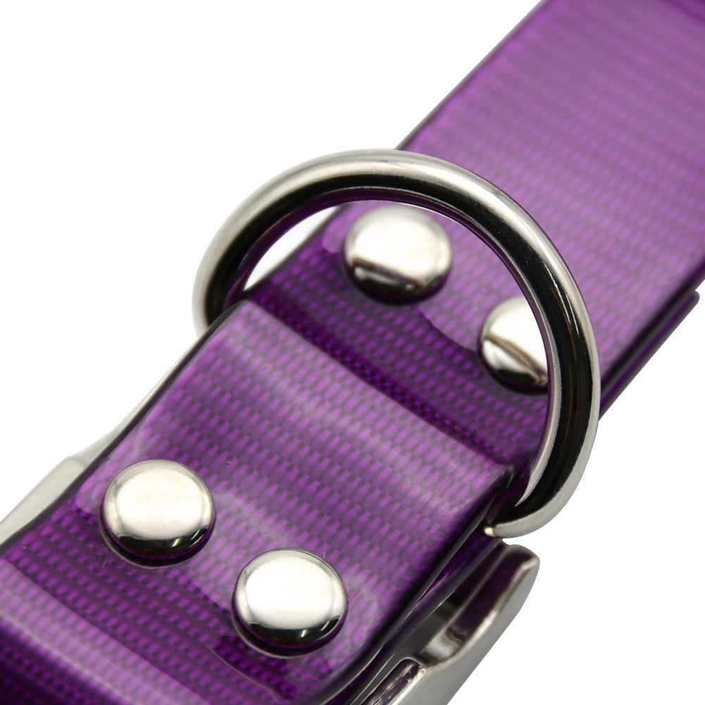 Golden retriever wearing a neon green dirty-resistant TPU dog collar with a yellow leash, ideal for pets in dog pens or outdoor use.