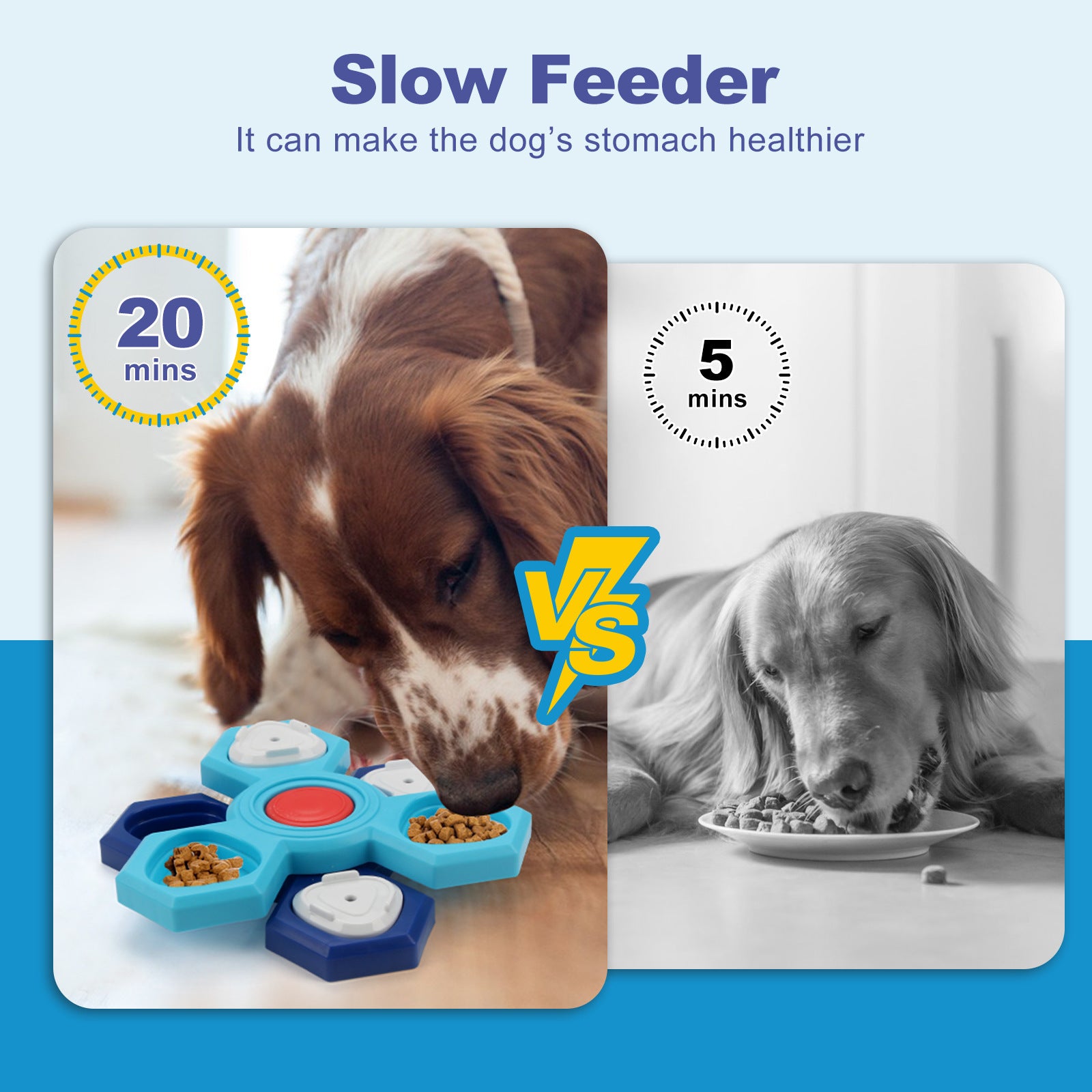 Beagle using 4 Layers Slow Feeder Puzzle Dog Bowl with rotating flower design for slow eating and mental stimulation. Helps prevent bloat and aids digestion.
