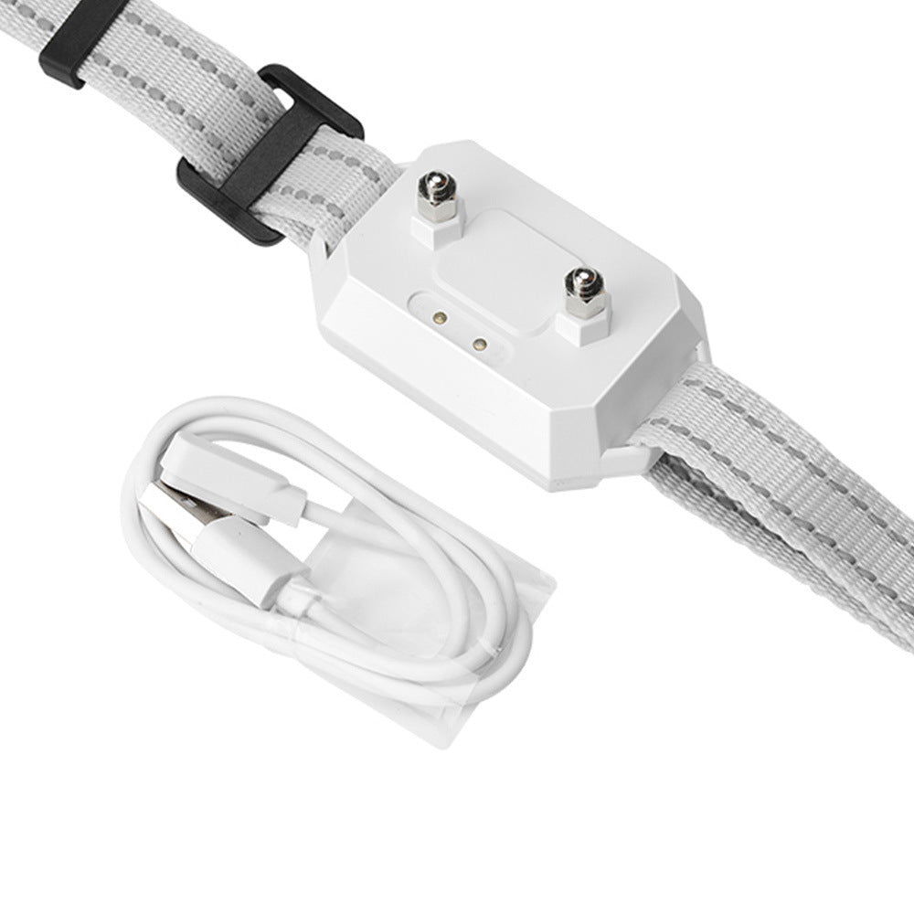 Golden retriever wearing Pet Wireless Electronic Fence GPS Dog Trainer collar in shallow water. Waterproof IPX6 design ideal for outdoor training.