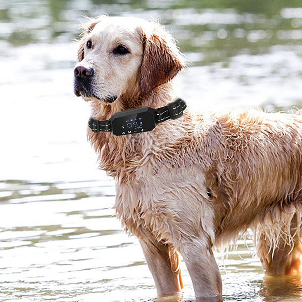 Golden retriever wearing Pet Wireless Electronic Fence GPS Dog Trainer collar in shallow water. Waterproof IPX6 design ideal for outdoor training.