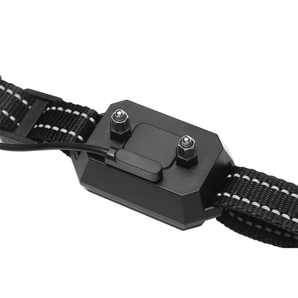 Golden retriever wearing Pet Wireless Electronic Fence GPS Dog Trainer collar in shallow water. Waterproof IPX6 design ideal for outdoor training.