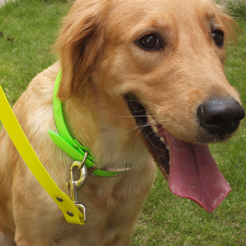 Golden retriever wearing a neon green dirty-resistant TPU dog collar with a yellow leash, ideal for pets in dog pens or outdoor use.
